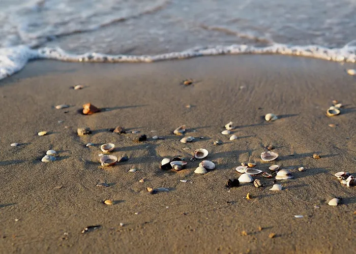 Modern Beachfront Flat In A With Pool
